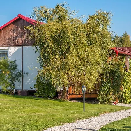 Tamir Liptovský Mikuláš